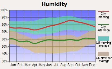 Owls Head, Maine humidity